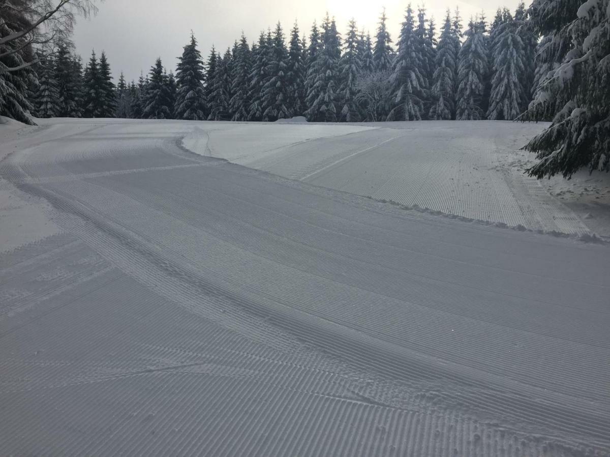 Penzion U Rybnika Mariánská Exteriör bild