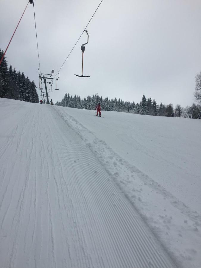 Penzion U Rybnika Mariánská Exteriör bild